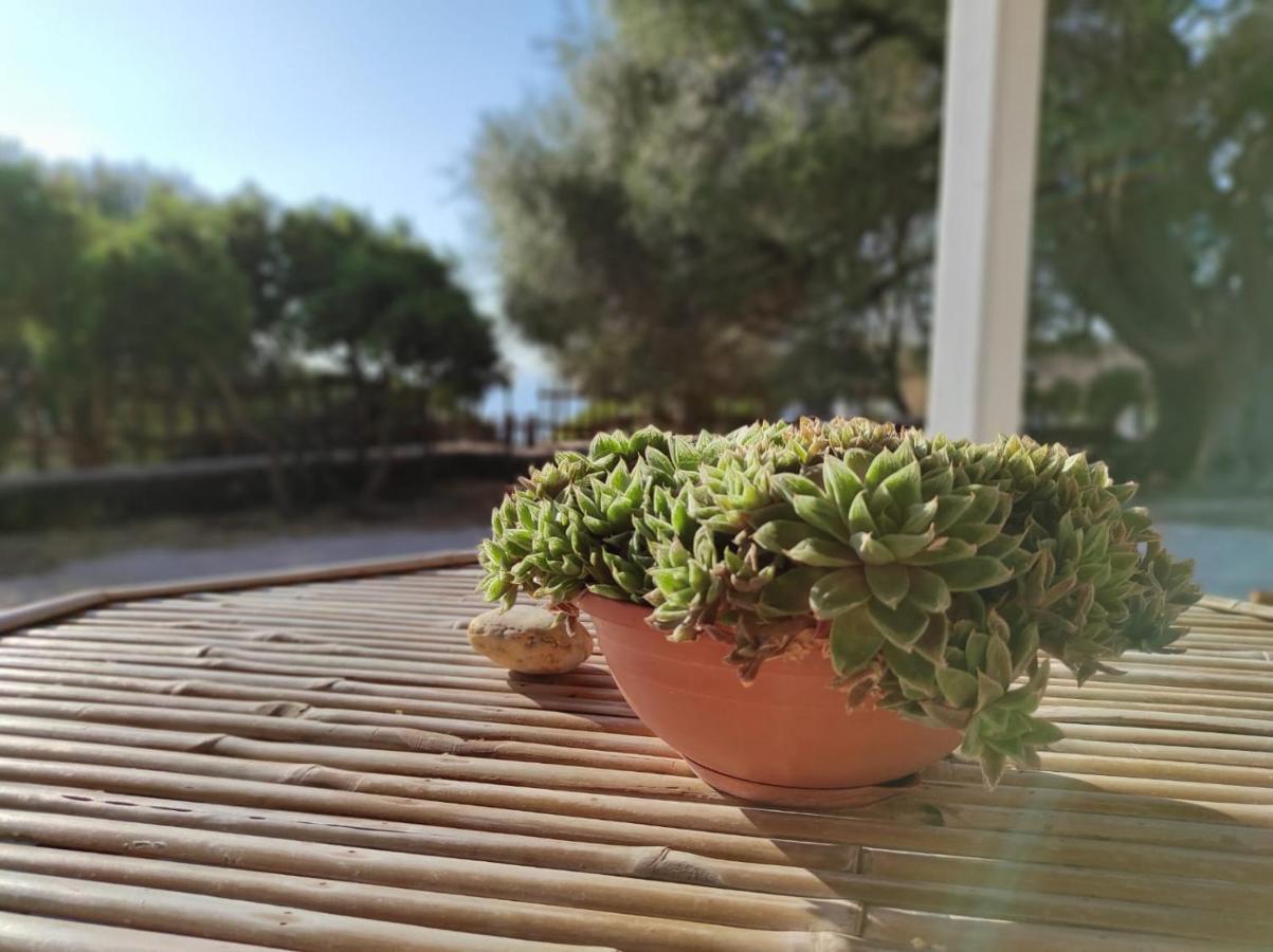 Casa Olivastra Villa Dorgali Eksteriør bilde