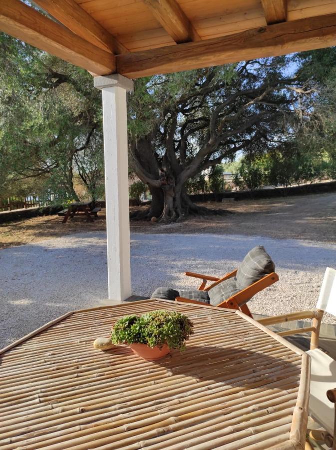 Casa Olivastra Villa Dorgali Eksteriør bilde